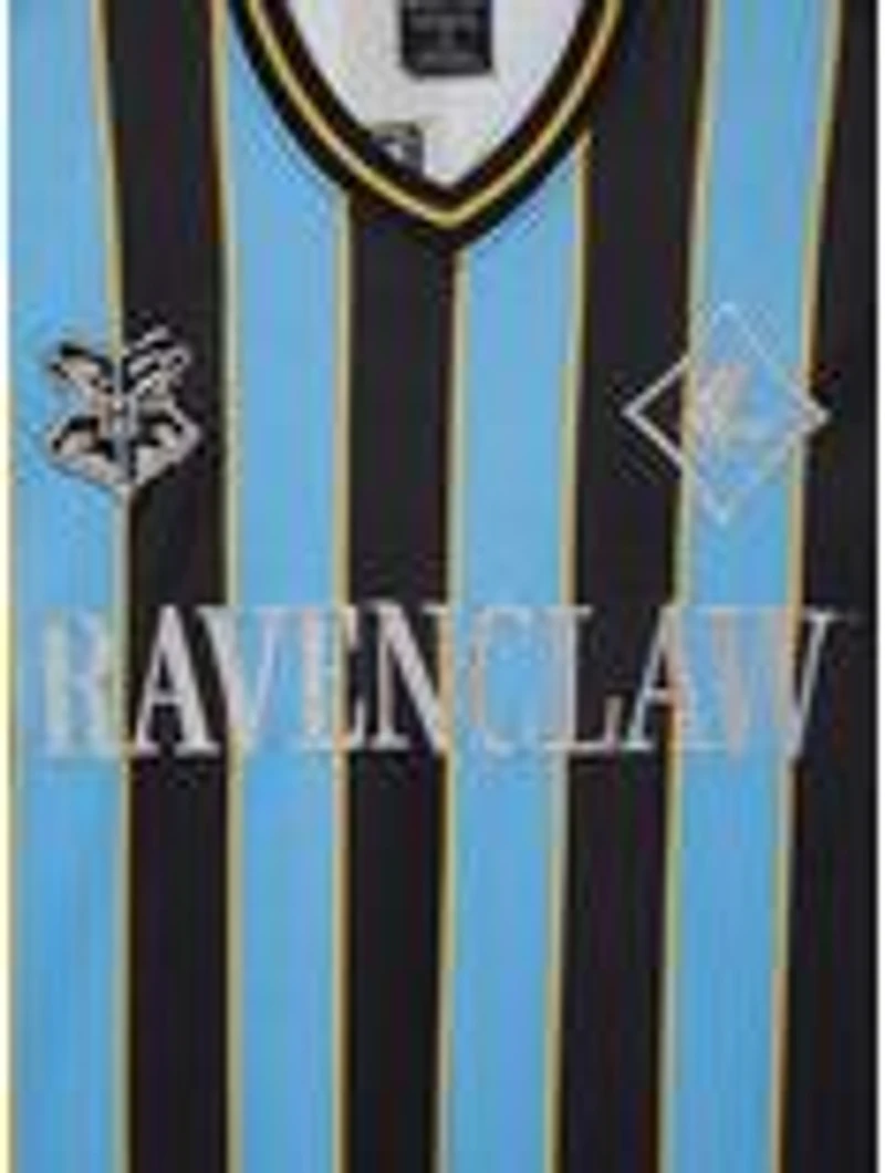 Harry Potter Ravenclaw Striped Jersey - BoxLunch Exclusive