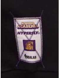 Hyperfly NBA x My Hero Academia Mirko Los Angeles Lakers Hoodie - BoxLunch Exclusive