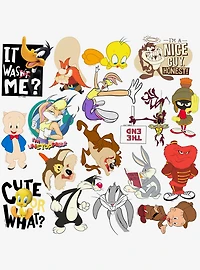Looney Tunes Variety 100ct Vinyl Stickers Variety Pack