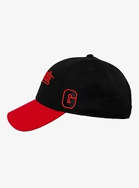 Harry Potter Gryffindor Tail Ball Cap