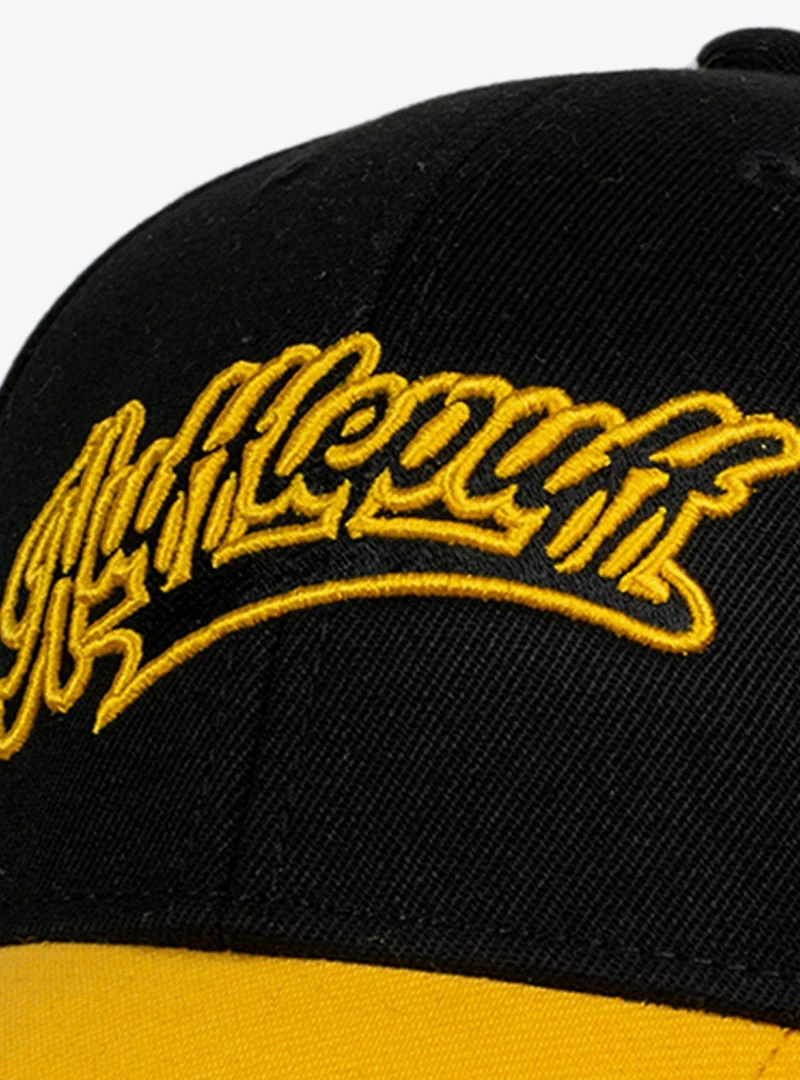 Harry Potter Hufflepuff Tail Ball Cap
