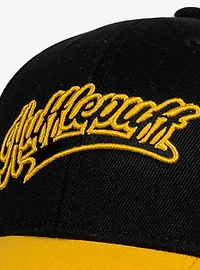 Harry Potter Hufflepuff Tail Ball Cap