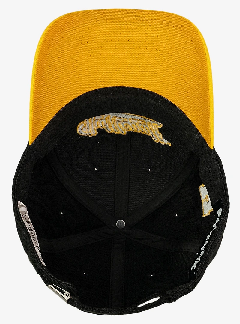 Harry Potter Hufflepuff Tail Ball Cap