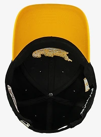Harry Potter Hufflepuff Tail Ball Cap