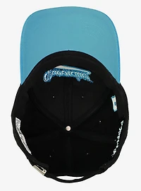 Harry Potter Ravenclaw Tail Ball Cap