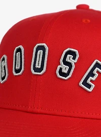 Top Gun Goose Arc Flat Brim Ball Cap