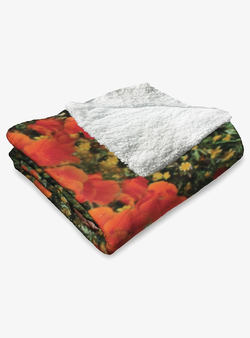 The Wizard of Oz Not In Kansas Silk Sherpa Touch Throw Blanket
