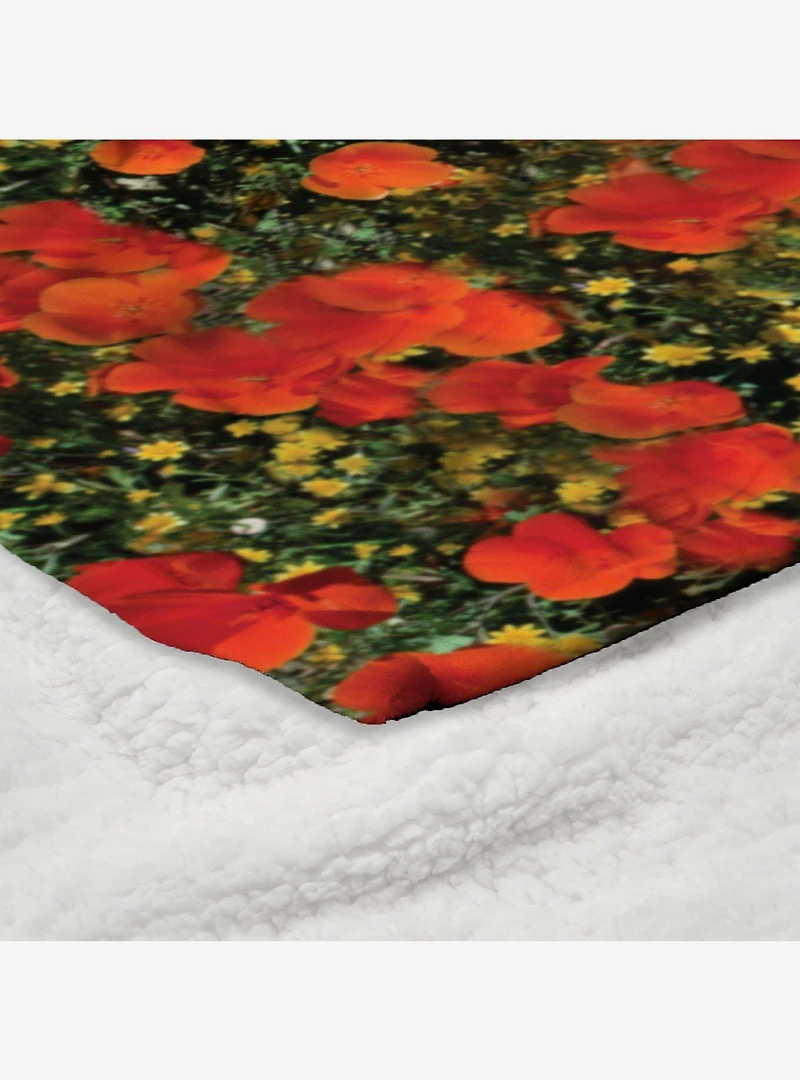 The Wizard of Oz Not In Kansas Silk Sherpa Touch Throw Blanket