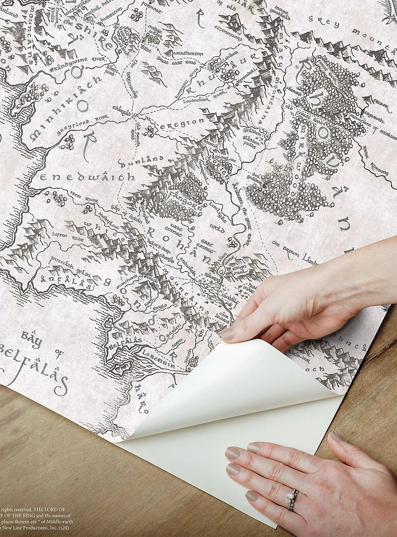 Lord of the Rings Middle Earth Map Peel & Stick Wallpaper