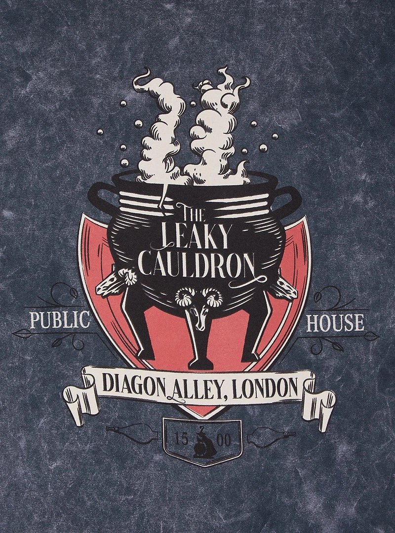 Harry Potter The Leaky Cauldron Logo Mineral Wash Women's Cropped T-Shirt - BoxLunch Exclusive