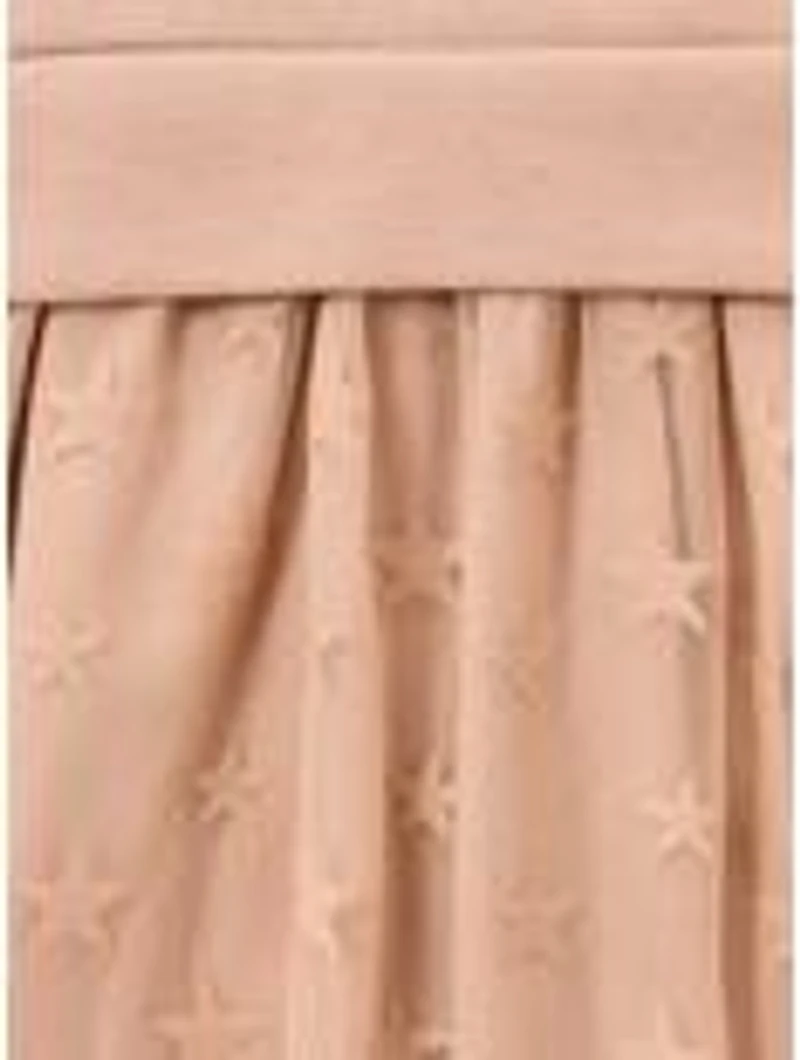 Bluey Bingo & Embroidered Toddler Tulle Dress — BoxLunch Exclusive