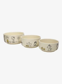 Peanuts Comic Strip Storage Bowl Set With Lids — BoxLunch Exclusive