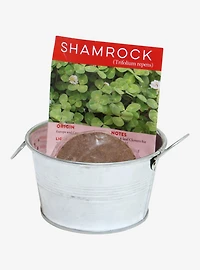 Pot O' Good Luck Shamrock Grow Kit