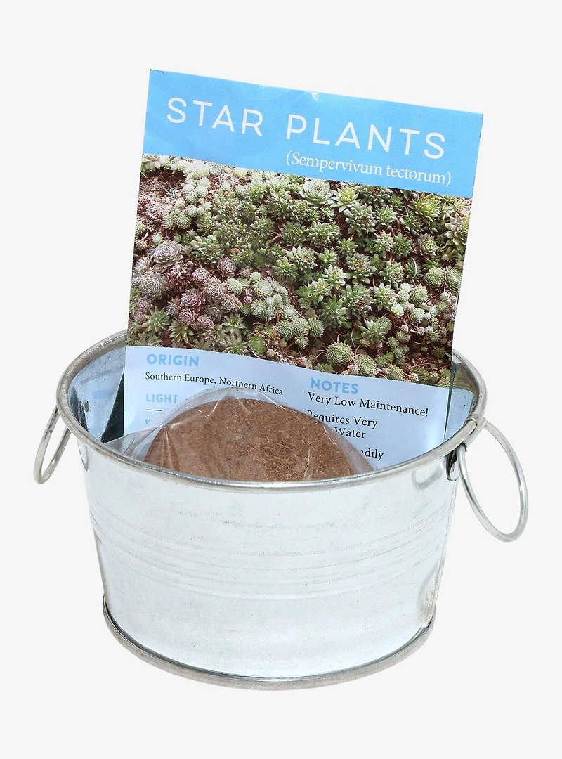 Pail of Peace Succulent Grow Kit