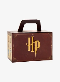 Harry Potter Icons Blind Box Plush — BoxLunch Exclusive
