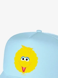 Sesame Street Big Bird Head Foam Trucker Hat