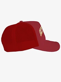 Harry Potter Gryffindor Athletics Foam Trucker Hat