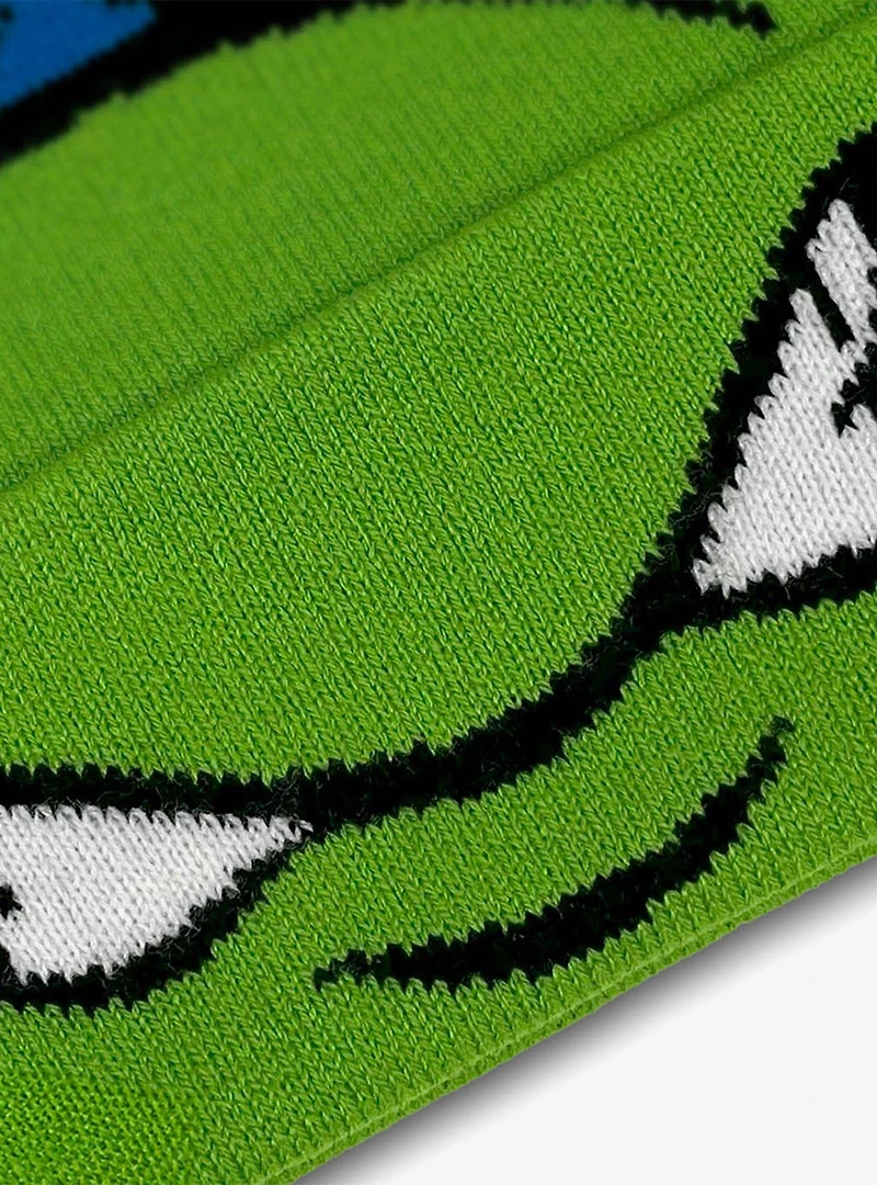 Teenage Mutant Ninja Turtles Leonardo Face Acrylic Knit Beanie