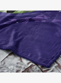 The Wizard of Oz Wicked Bad 50x60" Silk Touch Throw Blanket