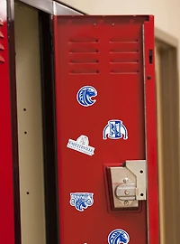 Fayetteville State University 100Ct Sticker Pack