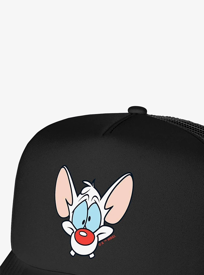 Pinky And The Brain Pinky Head Foam Trucker Hat