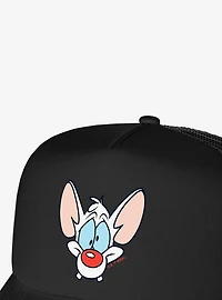 Pinky And The Brain Pinky Head Foam Trucker Hat