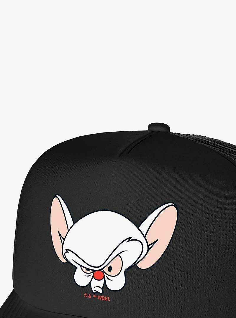 Pinky And The Brain Brain Head Foam Trucker Hat