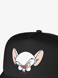 Pinky And The Brain Brain Head Foam Trucker Hat
