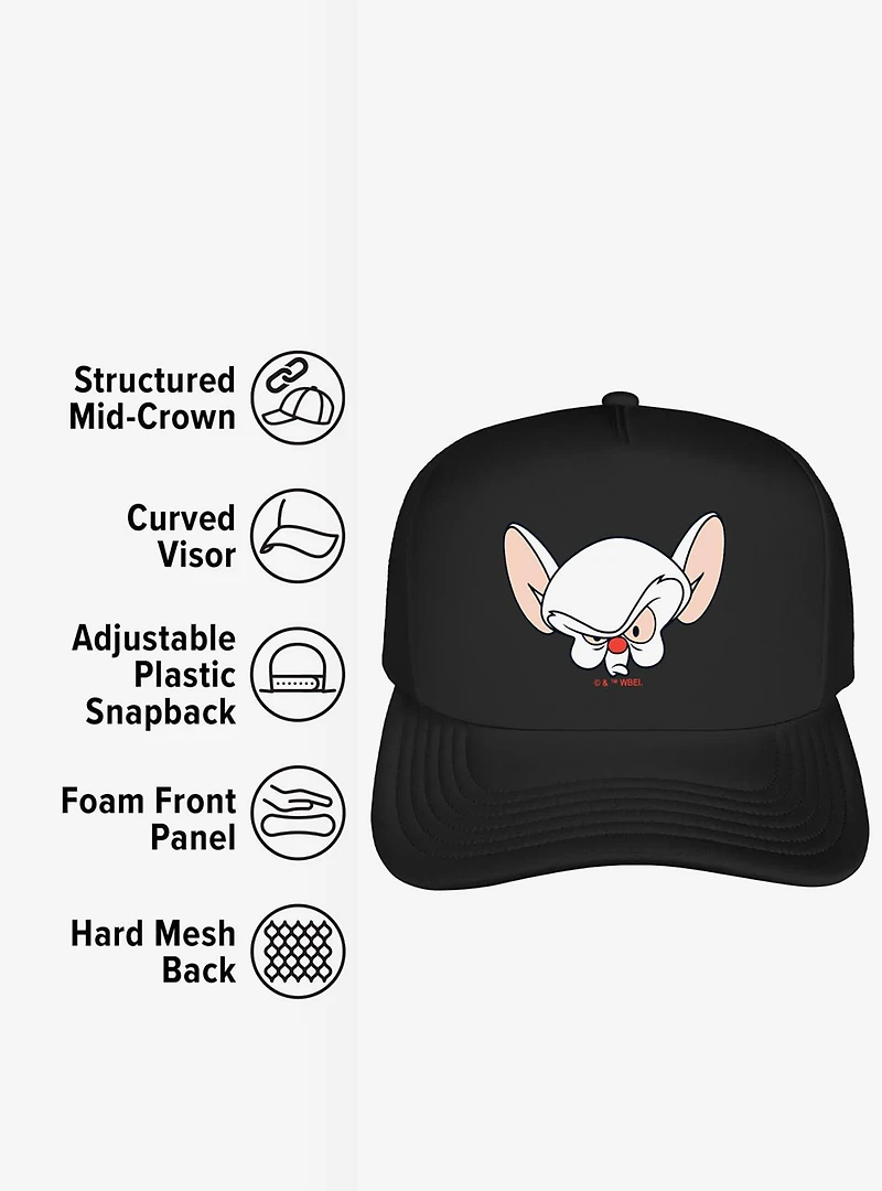 Pinky And The Brain Brain Head Foam Trucker Hat