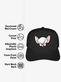 Pinky And The Brain Brain Head Foam Trucker Hat
