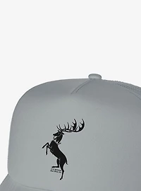 Game Of Thrones Baratheon Sigil Foam Trucker Hat