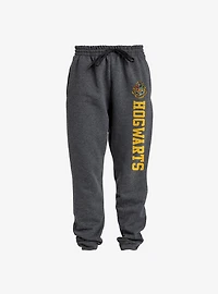 Harry Potter Hogwarts Collegiate Jogger Sweatpants