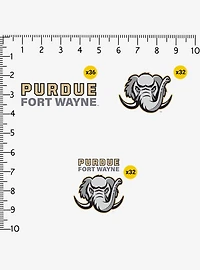 Purdue Fort Wayne 100ct Sticker Pack