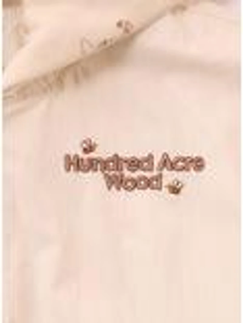 Disney Winnie the Pooh Hundred Acre Wood Toddler Windbreaker Jacket — BoxLunch Exclusive