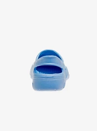 Disney Frozen Anna and Elsa Toddler & Girls Clogs