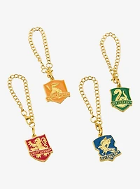 Harry Potter Hogwarts House Drink Charm — BoxLunch Exclusive