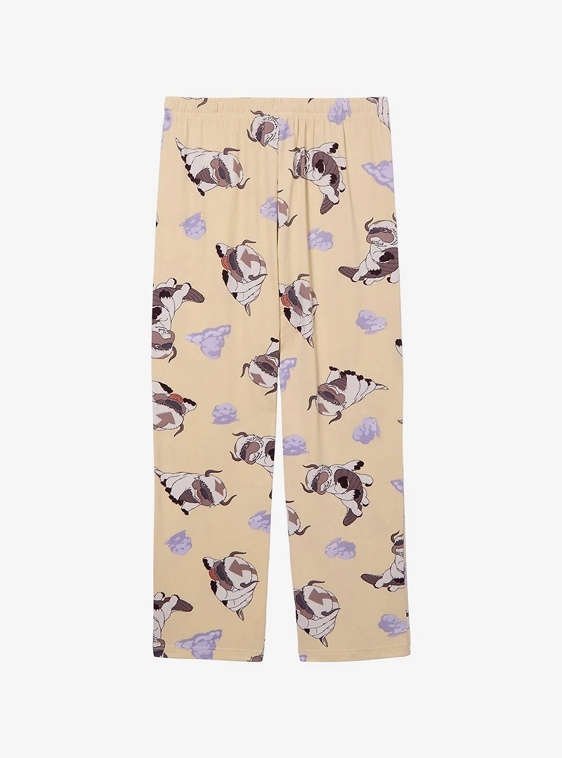 Avatar: The Last Airbender Appa Clouds Allover Print Sleep Pants — BoxLunch Exclusive
