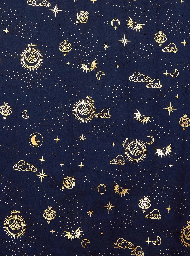 A Court of Thorns and Roses Icons Long Sleeve Plus Dress — BoxLunch Exclusive