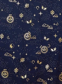 A Court of Thorns and Roses Icons Long Sleeve Plus Dress — BoxLunch Exclusive