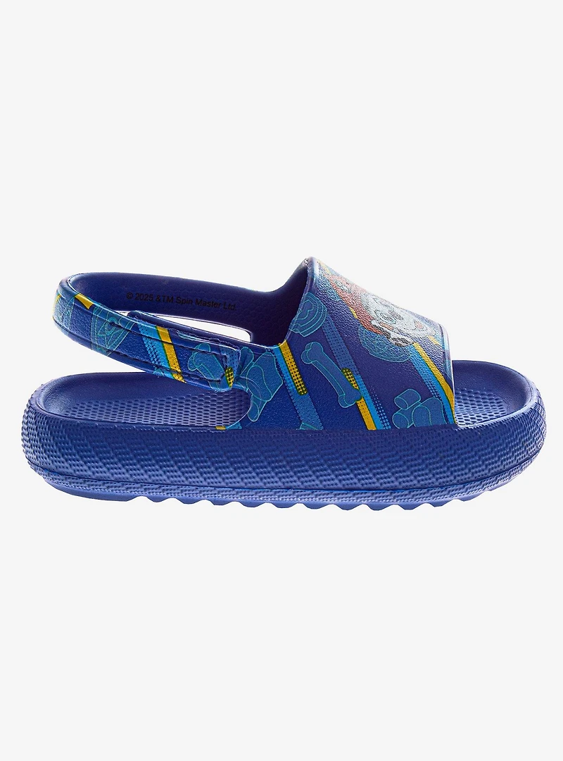 Paw Patrol Toddler & Kids Slides
