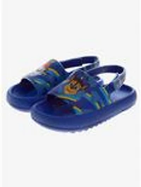 Paw Patrol Toddler & Kids Slides