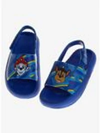 Paw Patrol Toddler & Kids Slides
