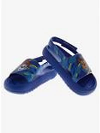 Paw Patrol Toddler & Kids Slides