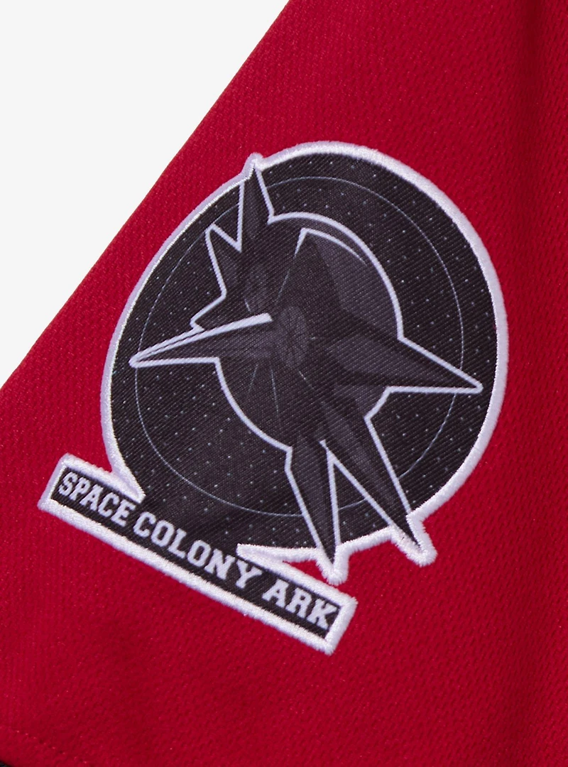 Sonic the Hedgehog Shadow Icons Baseball Jersey — BoxLunch Exclusive