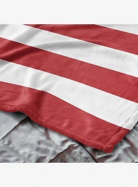 USA Flag Silk Touch Throw Blanket