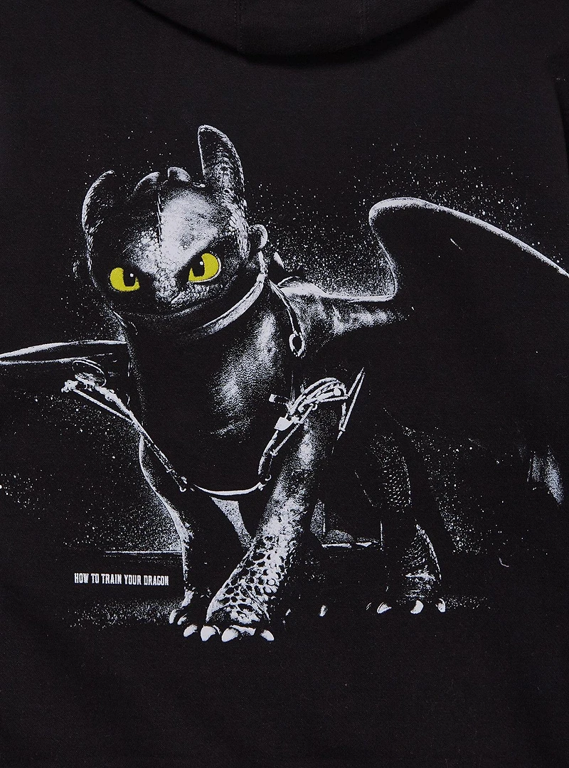 DreamWorks How To Train Your Dragon Dragons Club Hoodie