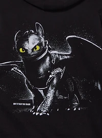 DreamWorks How To Train Your Dragon Dragons Club Hoodie