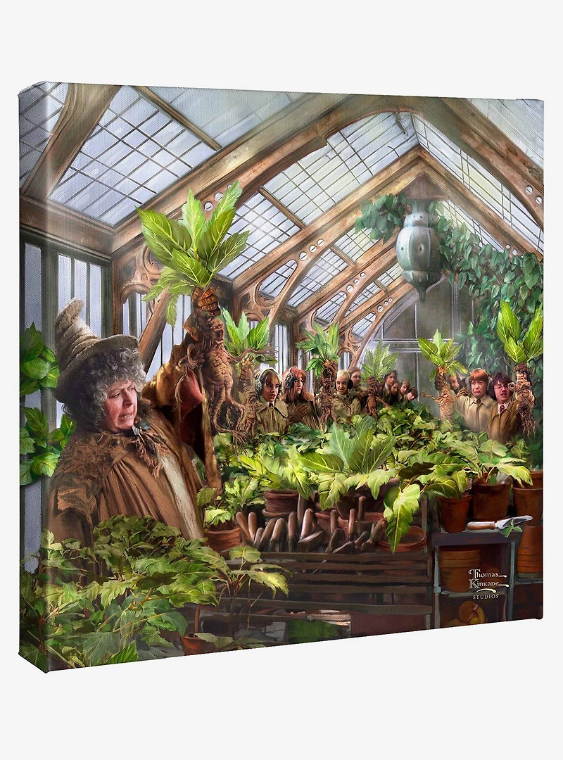 Harry Potter Hogwarts Greenhouse Gallery Wrapped Canvas