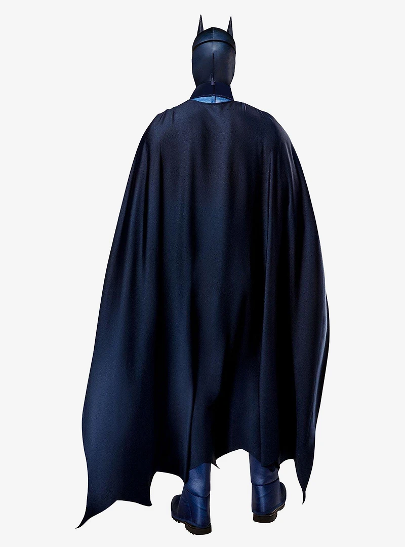 DC Comics Batman & Robin 1997 Deluxe Costume