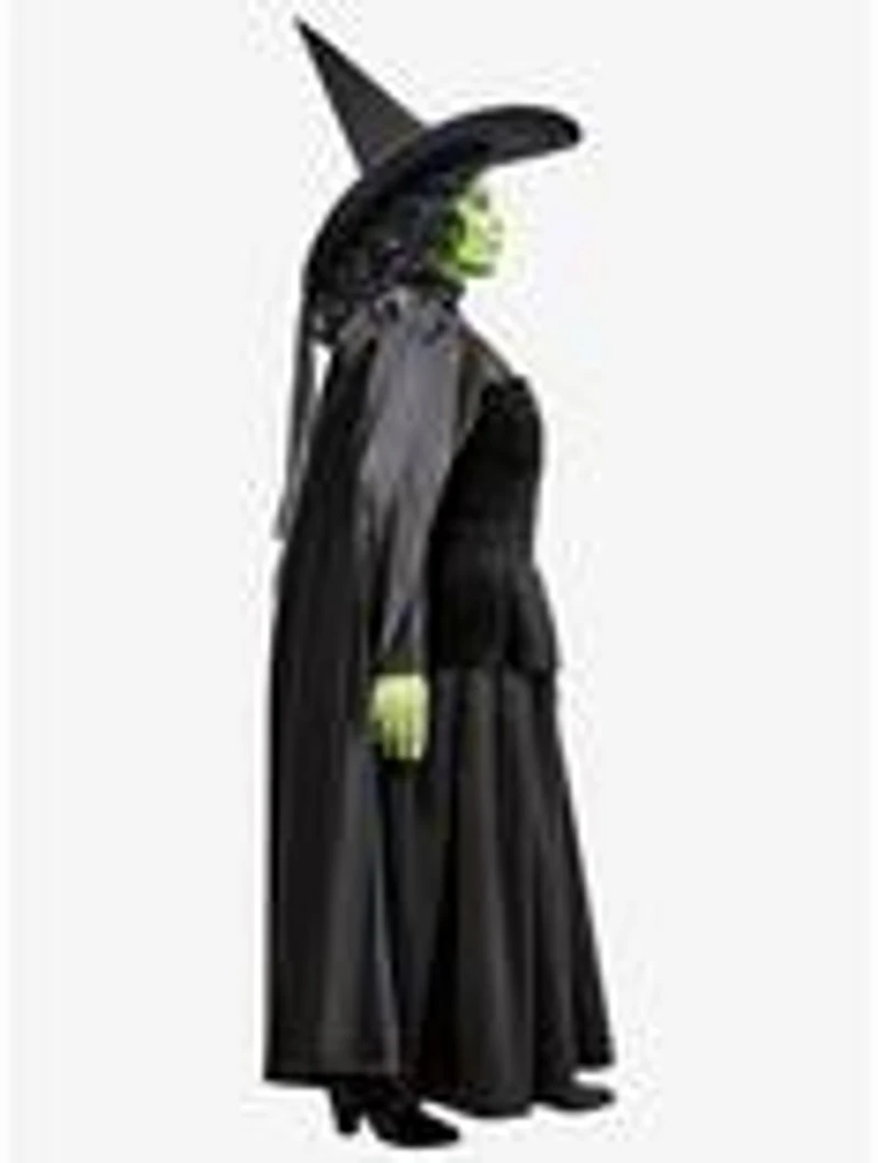 The Wizard of Oz Wicked Witch Plus Costume